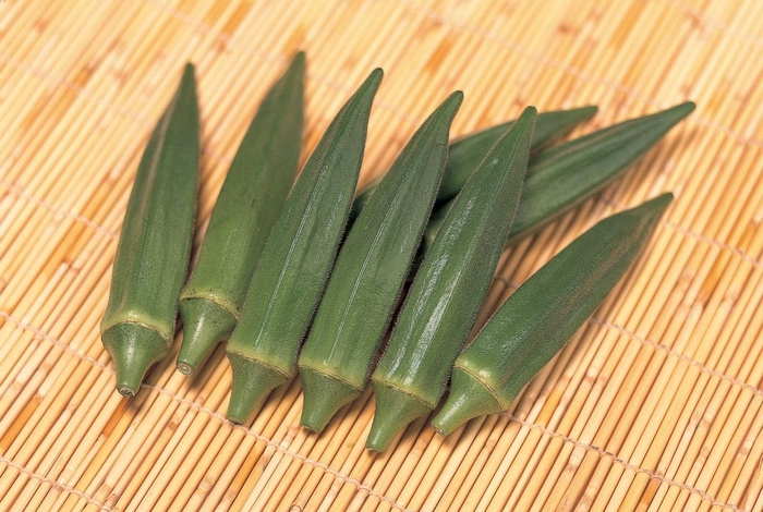 'Jambalaya' Okra - Abelmoschus esculentus from Milmont Greenhouses