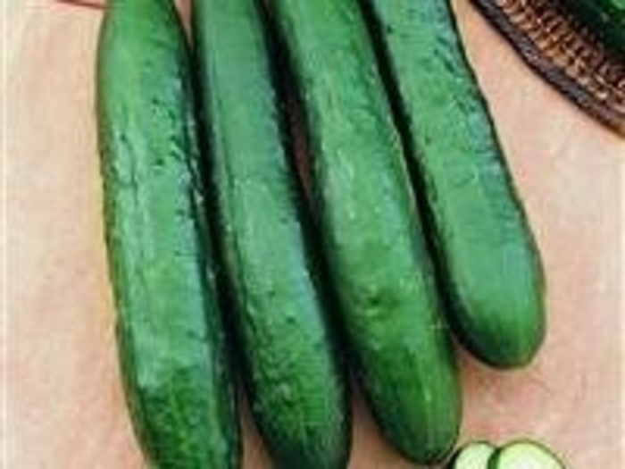 Cucumis sativus 'Burpless Supreme' (Cucumber) Burpless Supreme