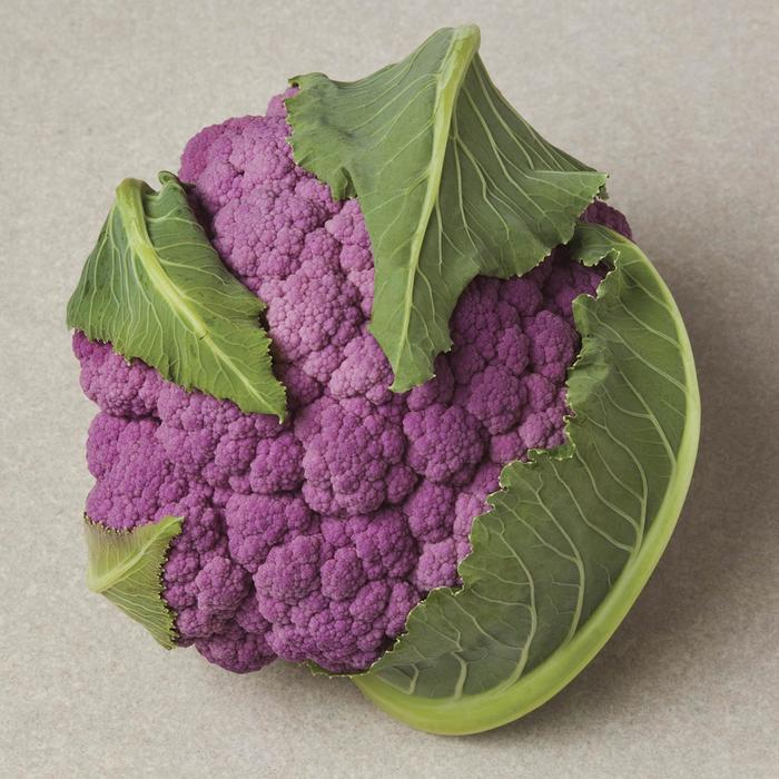 'DePurple' Cauliflower - Brassica oleracea from Milmont Greenhouses