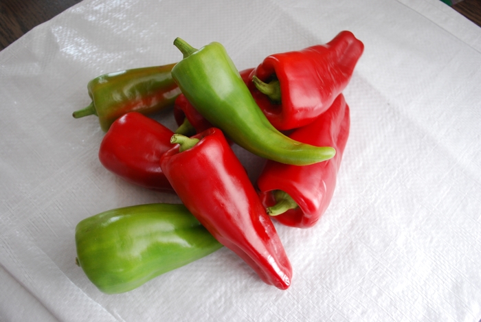 'Cubanelle' Pepper - Capsicum annuum from Milmont Greenhouses