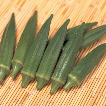 Abelmoschus esculentus - 'Jambalaya' Okra Abelmoschus esculentus - 'Jambalaya' Okra