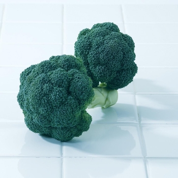 Brassica - 'Imperial F1' Broccoli