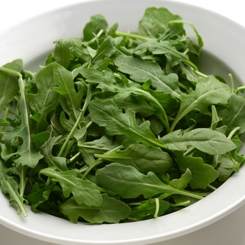 Eruca sativa - Arugula