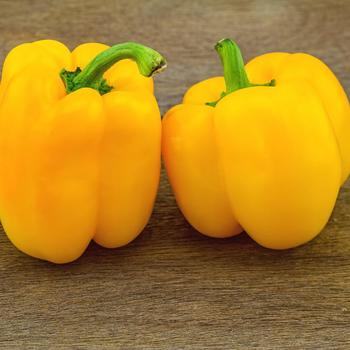 Capsicum annuum - 'Golden California Wonder' Bell Pepper Capsicum annuum - 'Golden California Wonder' Bell Pepper