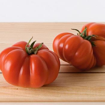 Solanum lycopersicon (Tomato) - 'Costoluto Genovese'